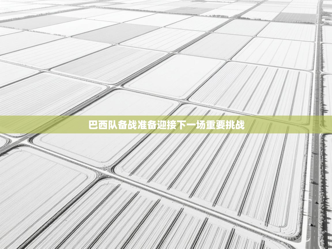 巴西队备战准备迎接下一场重要挑战 第2张