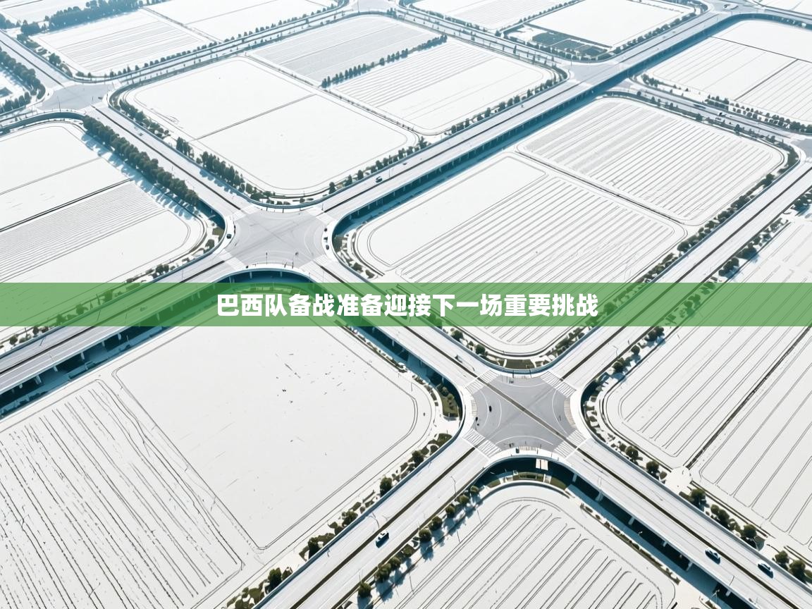 巴西队备战准备迎接下一场重要挑战