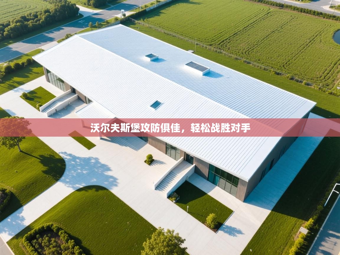 沃尔夫斯堡攻防俱佳，轻松战胜对手